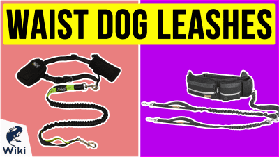 best Best Waist Dog Leashes