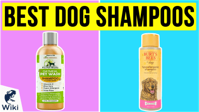 Best Dog Shampoos