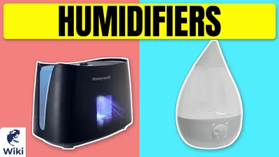 Best Humidifiers