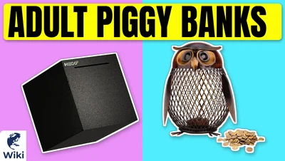 Best Adult Piggy Banks