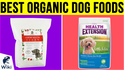 Top 10 Organic Dog Foods | Video Review