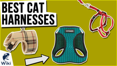 Best Cat Harnesses