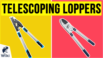 Best Telescoping Loppers