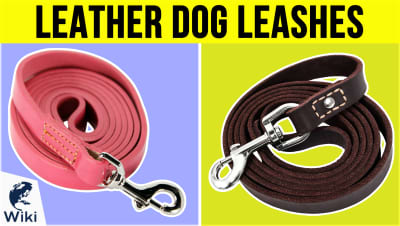 Top 10 Leather Dog Leashes | Video Review