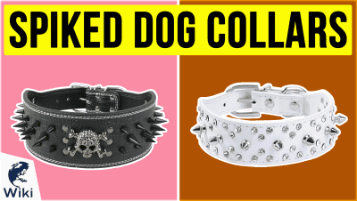 best Best Spiked Dog Collars