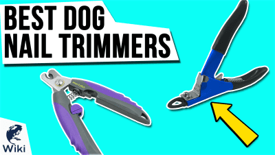 Top 10 Dog Nail Trimmers | Video Review