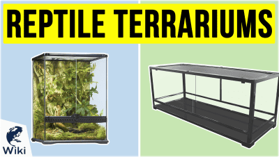 best Best Reptile Terrariums