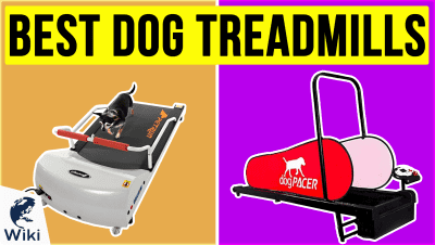 Best Dog Treadmills