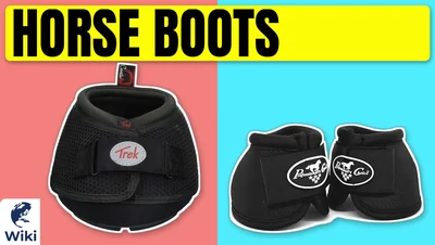 Best Horse Boots