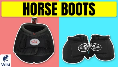 Best Horse Boots