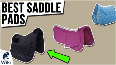 best Best Saddle Pads