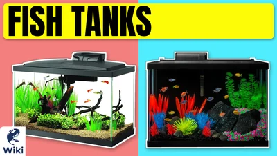 Best Fish Tanks