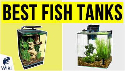 Best Fish Tanks