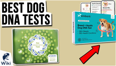 Best Dog DNA Tests