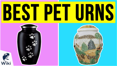 best Best Pet Urns