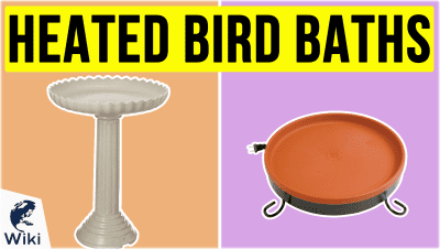 Best Heated Bird Baths