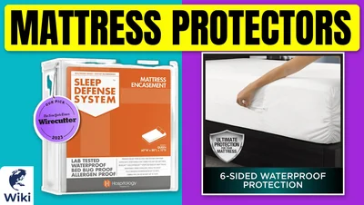 Best Mattress Protectors