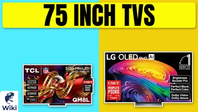 The 9 Best 75 Inch TVs of 2026