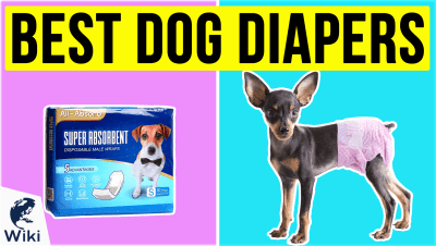 best Best Dog Diapers