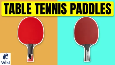 Best Table Tennis Paddles