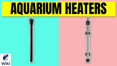 Best Aquarium Heaters