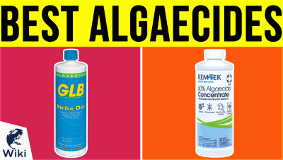 Top 10 Algaecides | Video Review