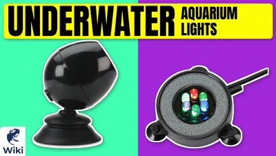 Best Underwater Aquarium Lights