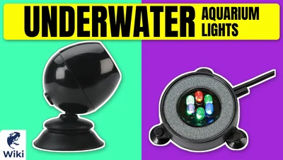 Best Underwater Aquarium Lights