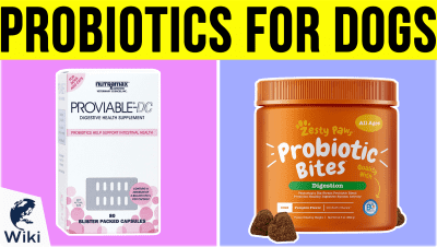 Top 10 Probiotics For Dogs | Video Review