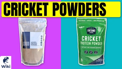 Best Cricket Powders