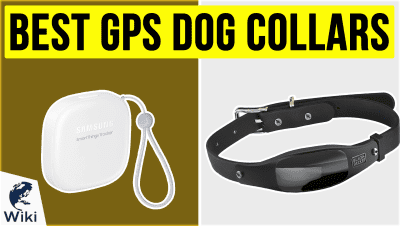 Best GPS Dog Collars
