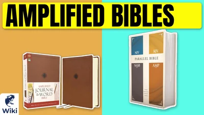 Best Amplified Bibles