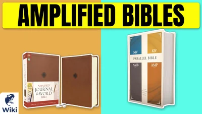 The 10 Best Amplified Bibles of 2026