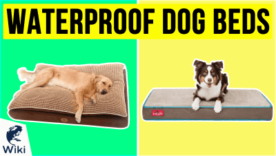 Best Waterproof Dog Beds