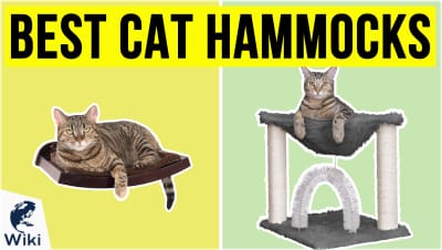 Best Cat Hammocks