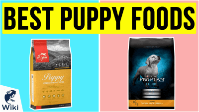 best Best Puppy Foods