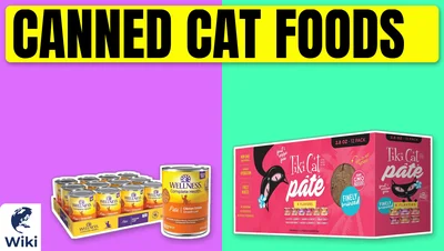 Best Canned Cat Foods