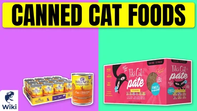 Best Canned Cat Foods
