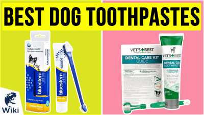 best Best Dog Toothpastes