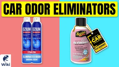 Best Car Odor Eliminators