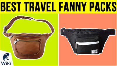 Top 10 Travel Fanny Packs | Video Review