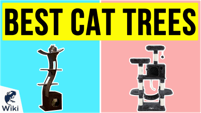 Best Cat Trees