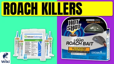 Best Roach Killers