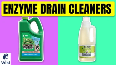 Best Enzyme Drain Cleaners