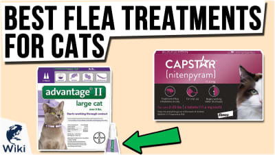 Best Flea Treatments for Cats