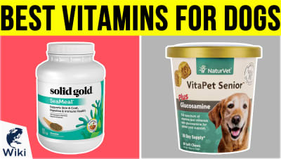 Top 10 Vitamins for Dogs | Video Review