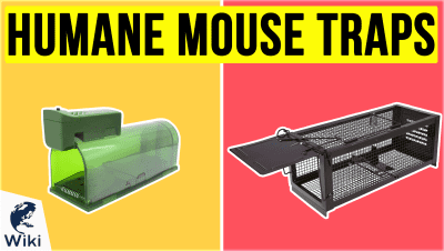 best Best Humane Mouse Traps