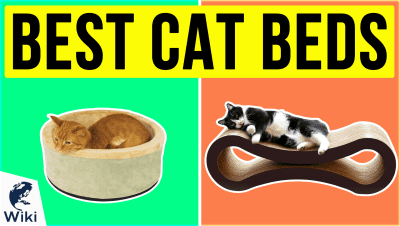 Best Cat Beds