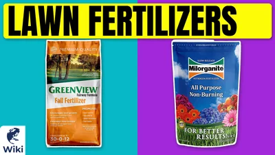 Best Lawn Fertilizers