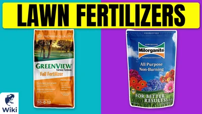 Best Lawn Fertilizers